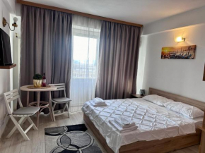 Downtown Studio Calea Victoriei Ultracentral